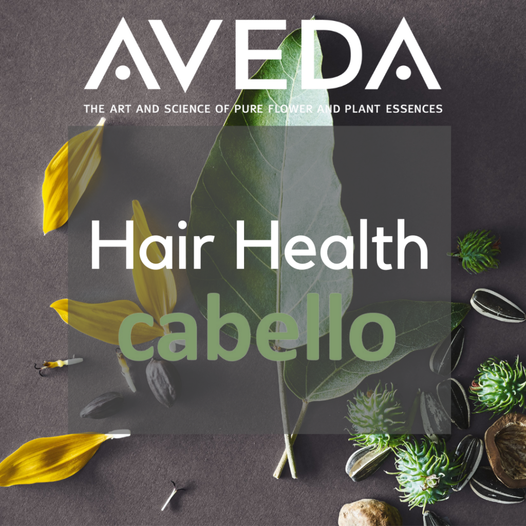 Jan/Feb deals on AVEDA Hair Health at Cabello